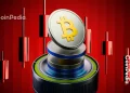 Altcoins Hold Strong as Bitcoin Falls 24% in November 